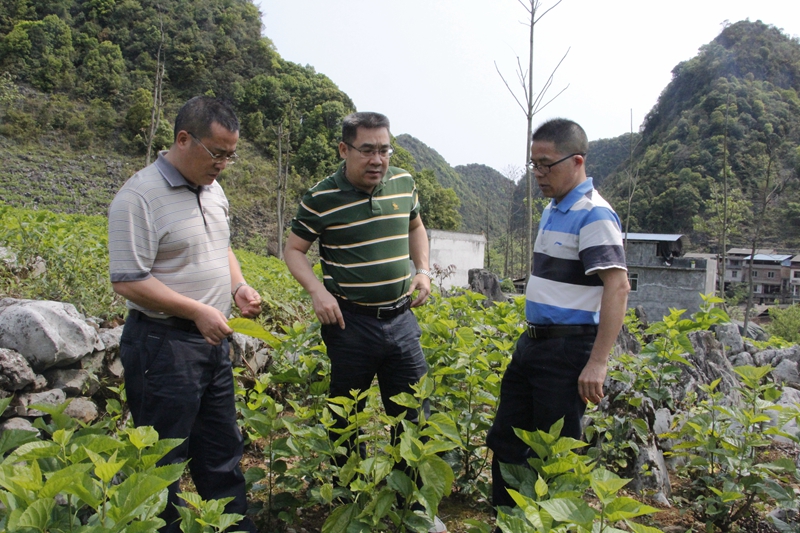 黄源东深入扶贫联系村调研精准脱贫工作